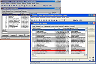 Software